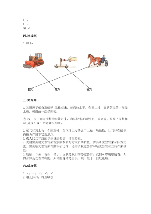 教科版小学科学二年级下册 期末测试卷（名师系列）.docx