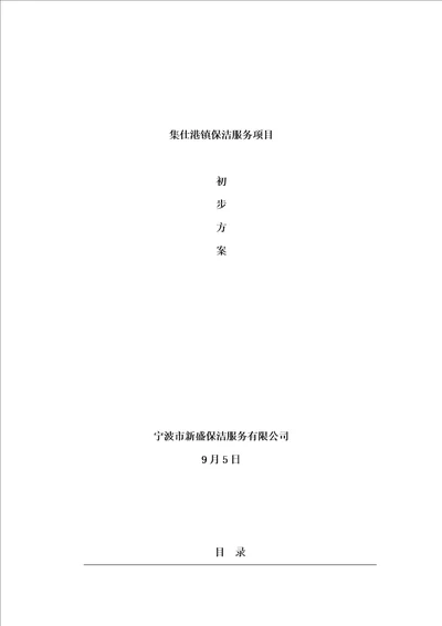 镇保洁服务专项项目初步专题方案