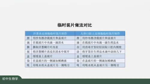 2.1.3 动物细胞 课件（共32张PPT）