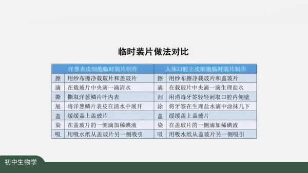 2.1.3 动物细胞 课件（共32张PPT）