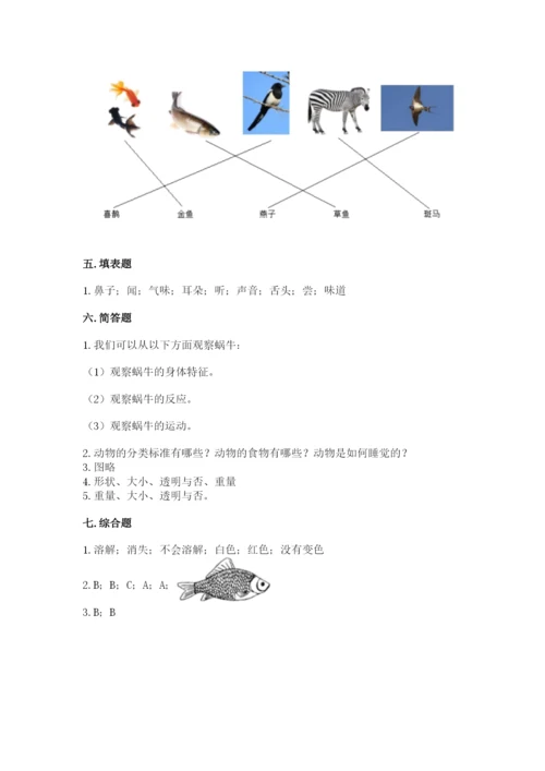 教科版一年级下册科学期末测试卷附参考答案【模拟题】.docx
