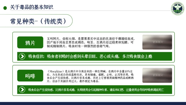 国际禁毒日珍爱生命远离禁毒教育模板