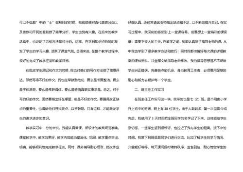 实习生教学总结汇编六篇