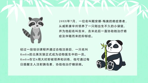 大熊猫国际野生动物保护日PPT模板