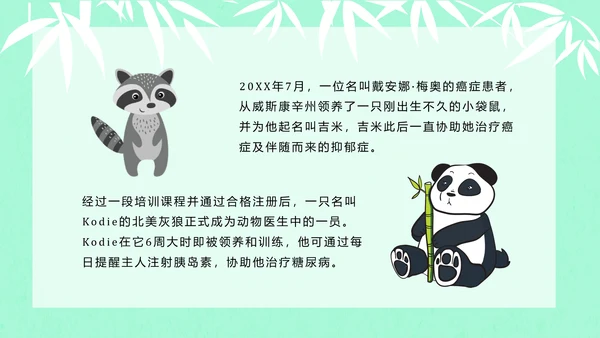 大熊猫国际野生动物保护日PPT模板