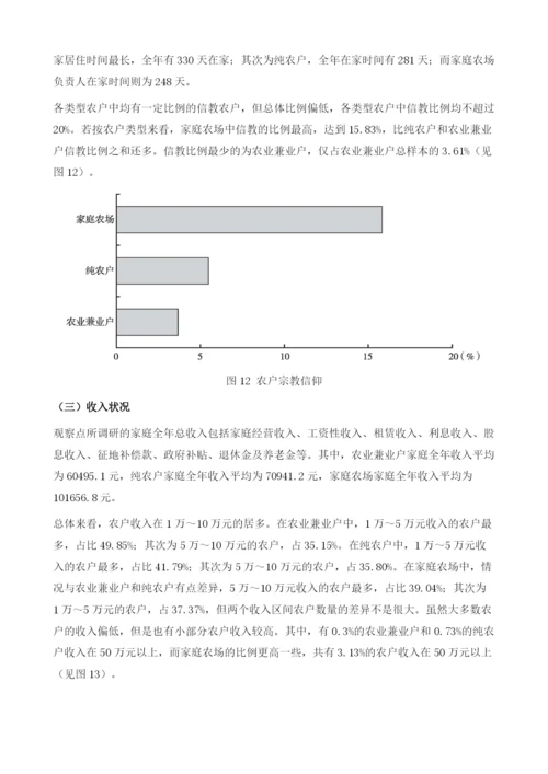 中国农户发展状况分析报告.docx