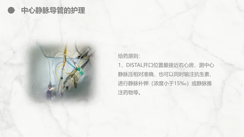 集束化干预在静脉导管相关血流感染的应用PPT模板