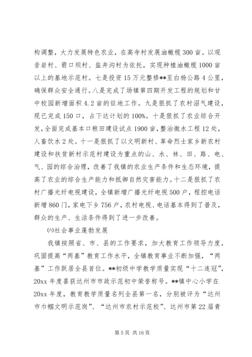 乡镇工作总结及工作计划.docx