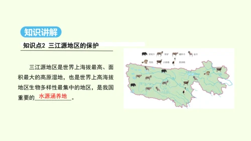 9.2 高原湿地——三江源地区（课件29张）- 人教版地理八年级下册