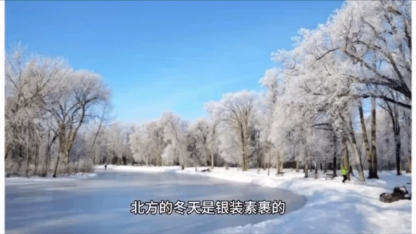 一上13 美丽的冬天  课件