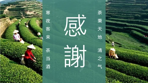 绿茶中国风茶道茶文化绿茶茶味通用PPT模板