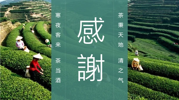 绿茶中国风茶道茶文化绿茶茶味通用PPT模板