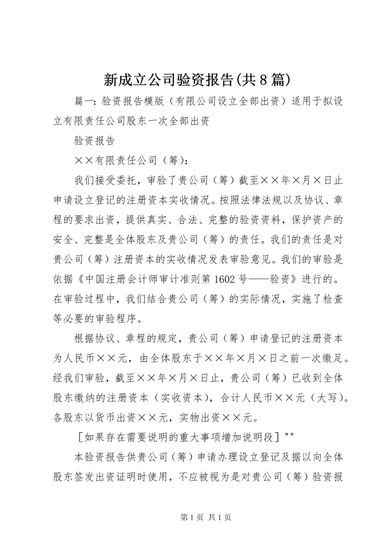 新成立公司验资报告(共8篇) (2).docx