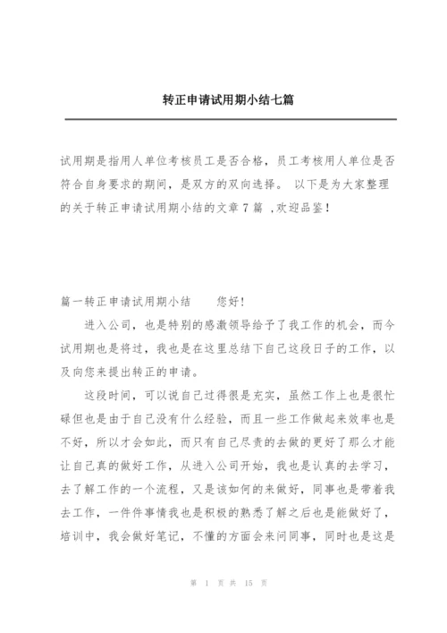 转正申请试用期小结七篇.docx
