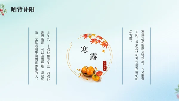 彩色弥撒寒露养生二十四节气PPT课件