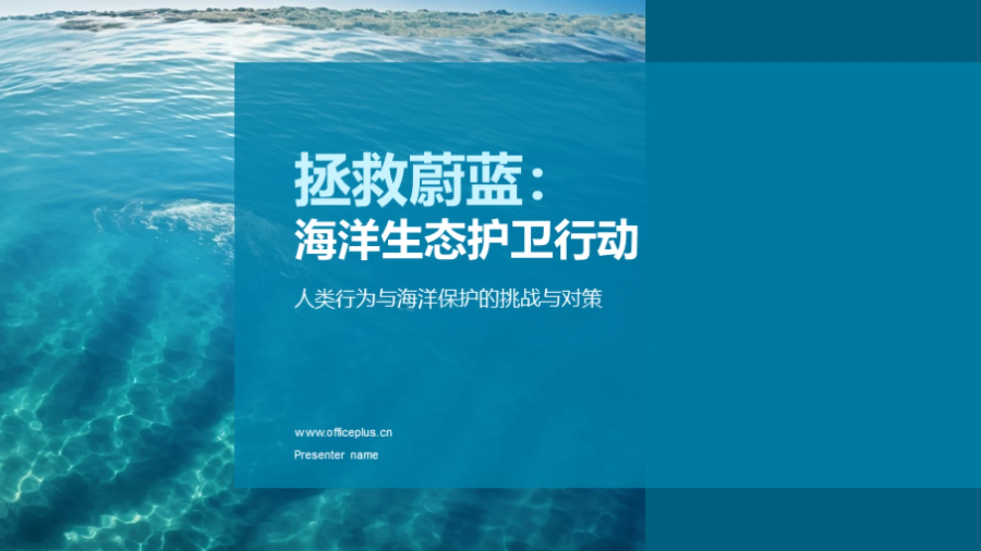 拯救蔚蓝:海洋生态护卫行动