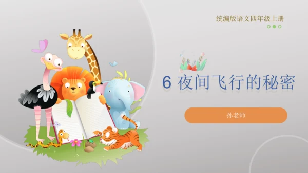 6 夜间飞行的秘密   课件