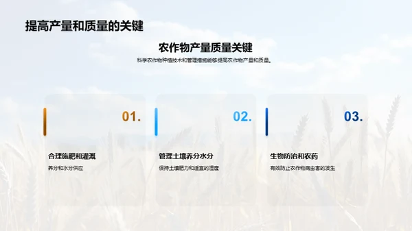 农业种植：智慧之选