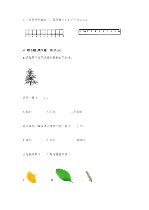 教科版一年级上册科学期末测试卷【基础题】.docx