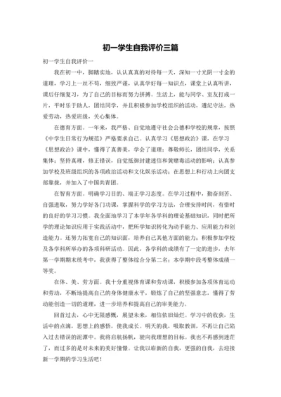 初一学生自我评价三篇.docx