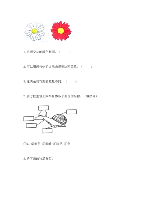 教科版一年级下册科学期末测试卷及答案【最新】.docx