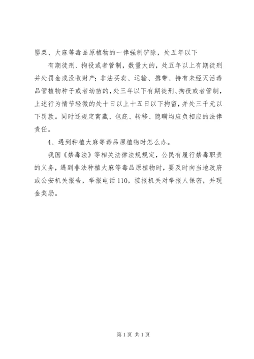 禁种铲毒宣传单.docx