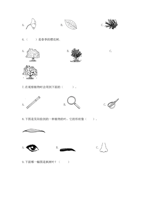 教科版一年级上册科学期末测试卷及答案一套.docx