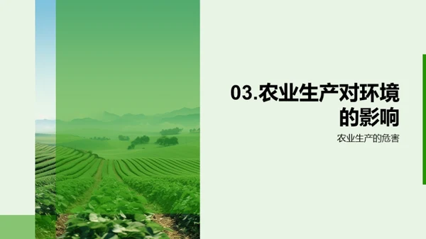 国潮风教育培训学术答辩PPT模板