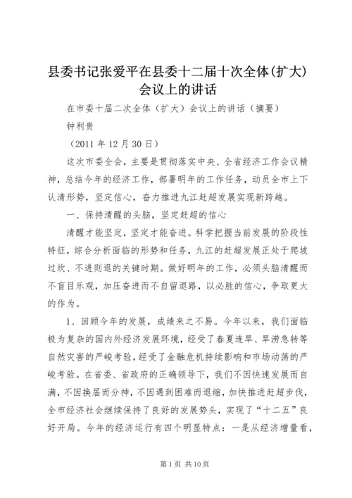 县委书记张爱平在县委十二届十次全体(扩大)会议上的讲话 (2).docx