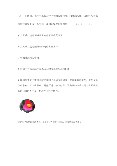 科学四年级下册第一单元《植物的生长变化》测试卷带答案（轻巧夺冠）.docx