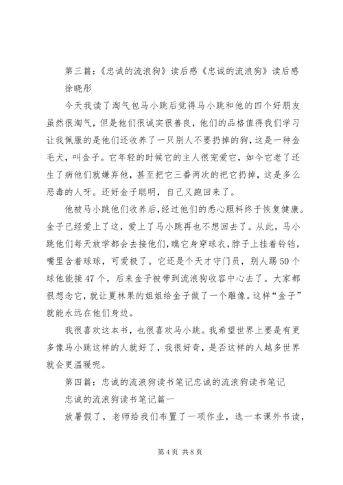 读《忠诚的流浪狗》有感：以诚相待.docx