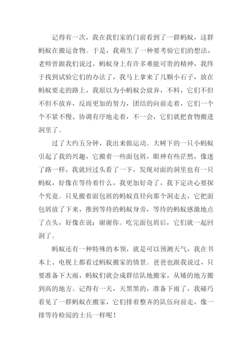 三年级作文生活中的发现.docx