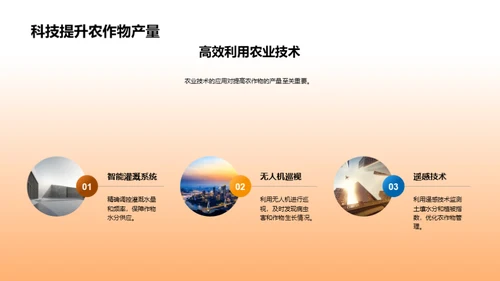 秋分农业管理策略