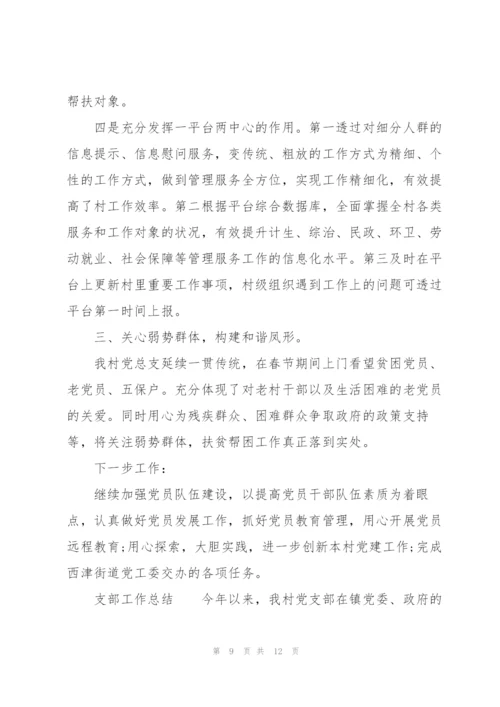 支部工作总结.docx