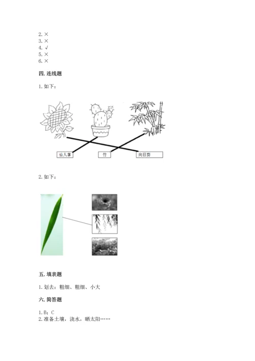 教科版科学一年级上册第一单元《植物》测试卷（b卷）word版.docx