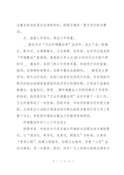 环境整治年终个人工作总结.docx