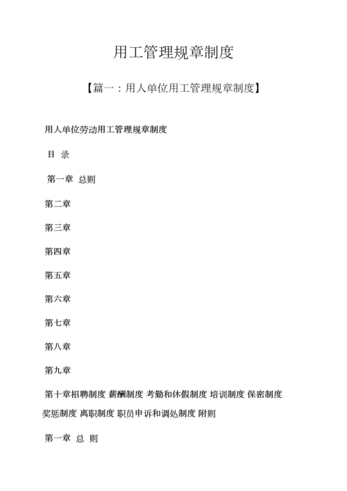 用工管理专项规章新规制度.docx