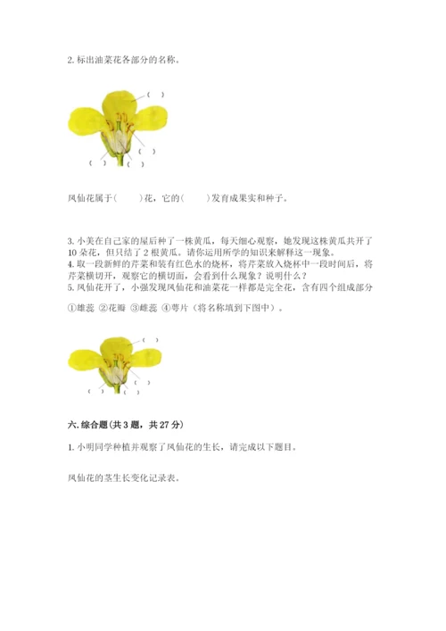 教科版科学四年级下册第一单元《植物的生长变化》测试卷推荐.docx
