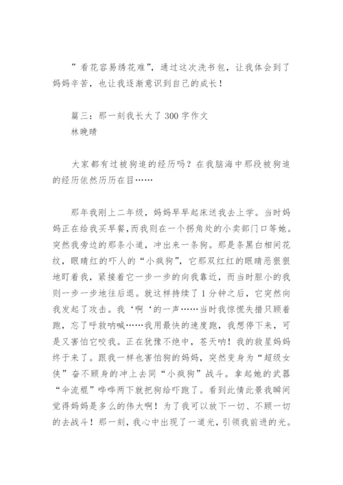 那一刻我长大了300字作文(精选18篇).docx