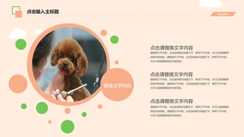 宠物医院述职报告动态PPT模板