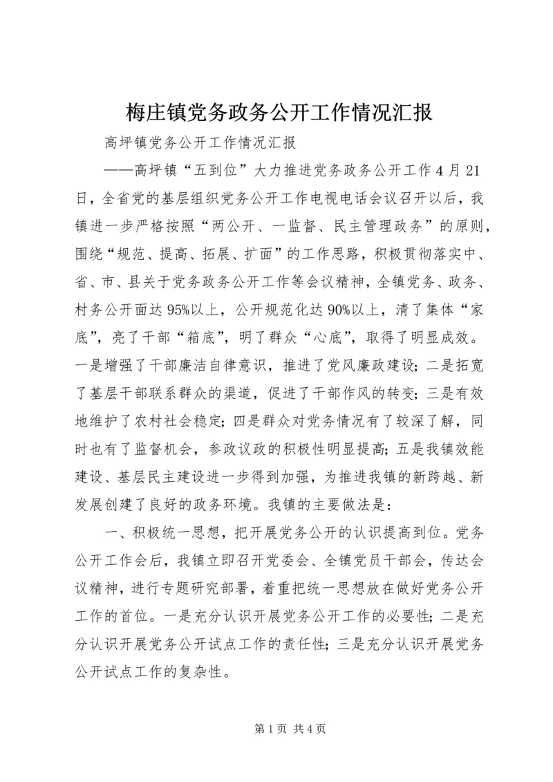 梅庄镇党务政务公开工作情况汇报 (2).docx