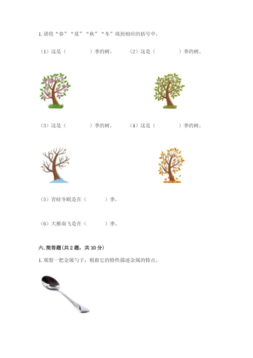 教科版二年级上册科学期末测试卷【考点梳理】.docx