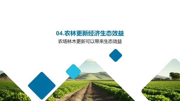 农林更新：投资与回报