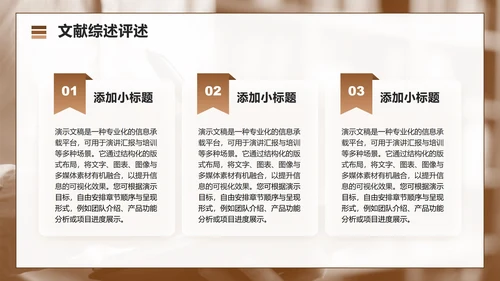 棕色几何简约风文献汇报工作总结汇报PPT模板