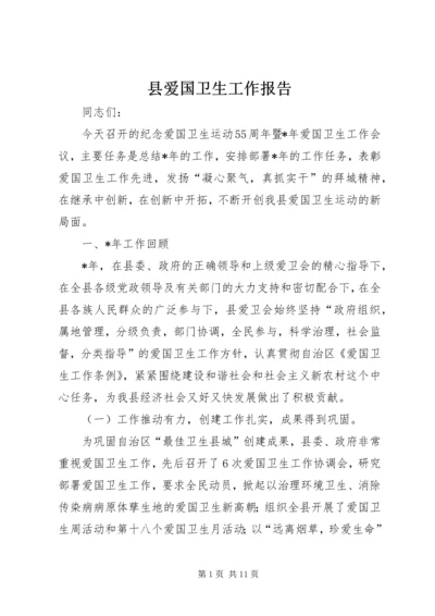 县爱国卫生工作报告.docx