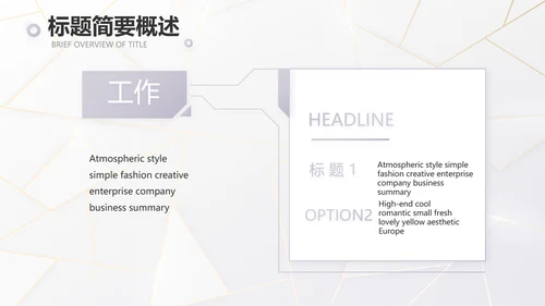 公司品牌策划方案工作总结计划PPT