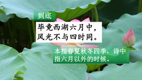 二下《古诗二》第一课时