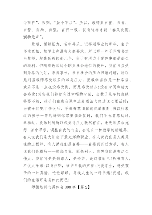 师德培训心得体会800字(10篇).docx