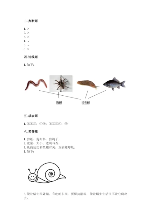 教科版小学科学一年级下册期末测试卷带答案ab卷.docx