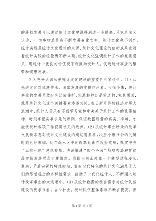 关于统计文化建设思考.docx